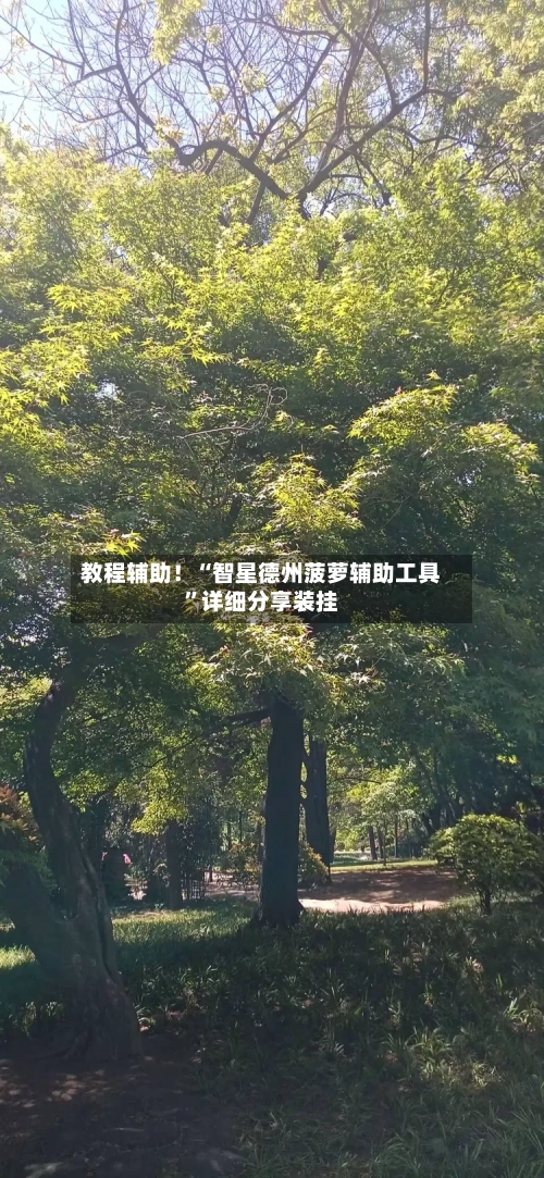 教程辅助！“智星德州菠萝辅助工具	”详细分享装挂-第1张图片