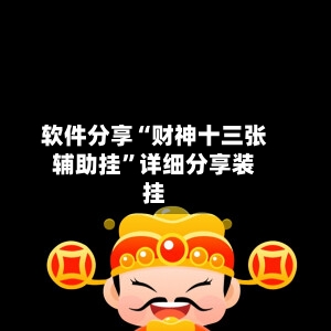软件分享“财神十三张辅助挂”详细分享装挂-第2张图片