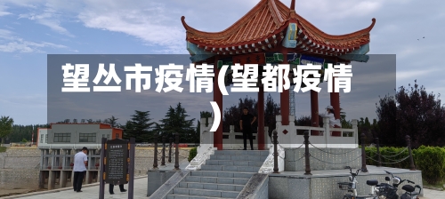 望丛市疫情(望都疫情)-第3张图片