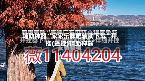 辅助神器“家家乐牌吧辅助下载”开挂(透视)辅助神器-第1张图片