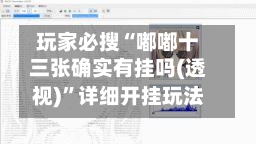 玩家必搜“嘟嘟十三张确实有挂吗(透视)”详细开挂玩法-第1张图片