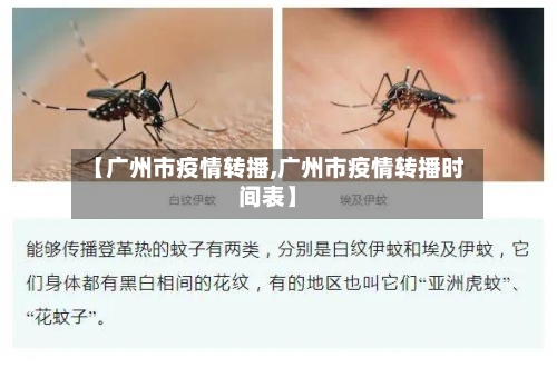 【广州市疫情转播,广州市疫情转播时间表】-第3张图片