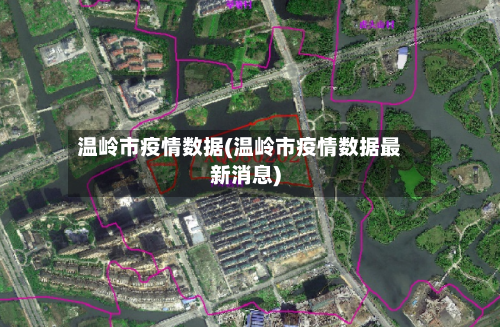 温岭市疫情数据(温岭市疫情数据最新消息)-第3张图片