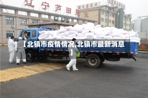 【北镇市疫情情况,北镇市最新消息】-第3张图片