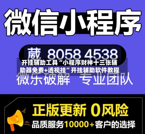 开挂辅助工具“小程序财神十三张辅助器免费+透视挂”开挂辅助软件教程-第3张图片
