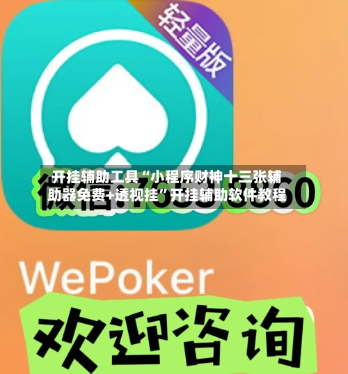 开挂辅助工具“小程序财神十三张辅助器免费+透视挂”开挂辅助软件教程-第2张图片