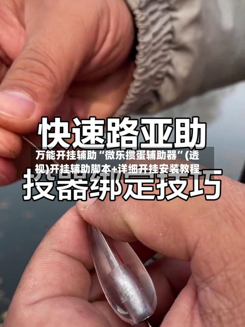 万能开挂辅助“微乐掼蛋辅助器”(透视)开挂辅助脚本+详细开挂安装教程-第2张图片