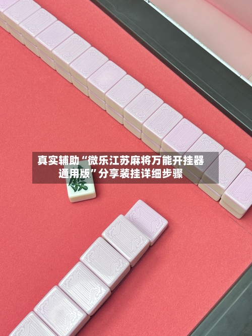 真实辅助“微乐江苏麻将万能开挂器通用版”分享装挂详细步骤-第2张图片