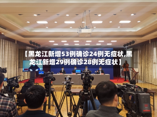【黑龙江新增53例确诊24例无症状,黑龙江新增29例确诊28例无症状】-第2张图片