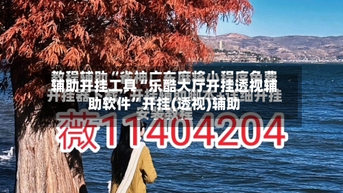 辅助开挂工具“乐酷大厅开挂透视辅助软件”开挂(透视)辅助-第1张图片