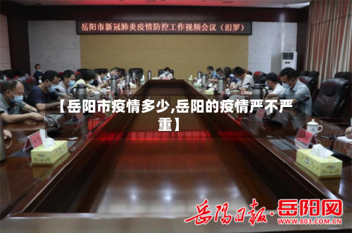 【岳阳市疫情多少,岳阳的疫情严不严重】-第2张图片