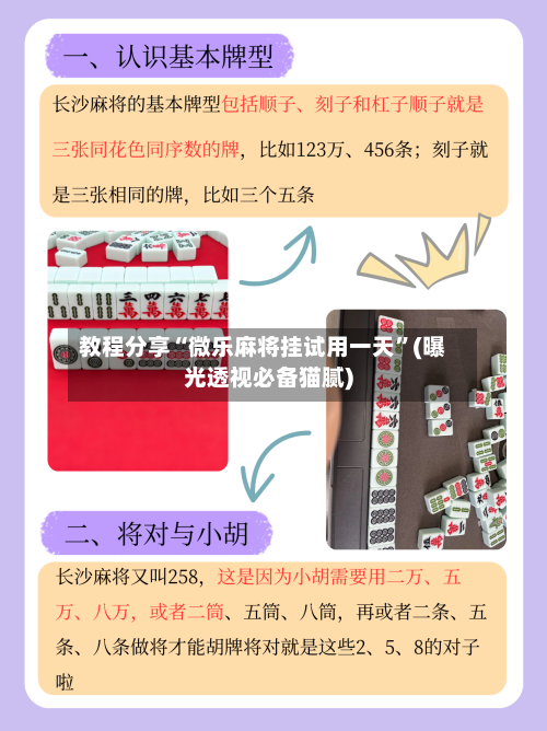 教程分享“微乐麻将挂试用一天”(曝光透视必备猫腻)-第1张图片