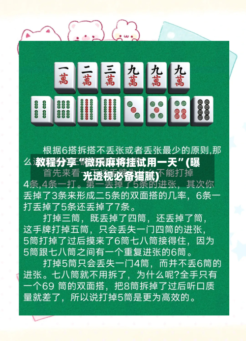 教程分享“微乐麻将挂试用一天”(曝光透视必备猫腻)-第3张图片