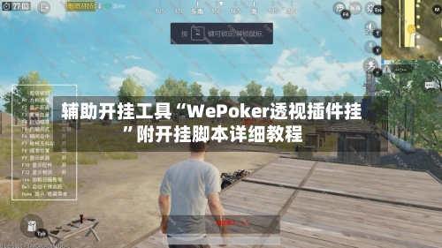 辅助开挂工具“WePoker透视插件挂”附开挂脚本详细教程-第1张图片