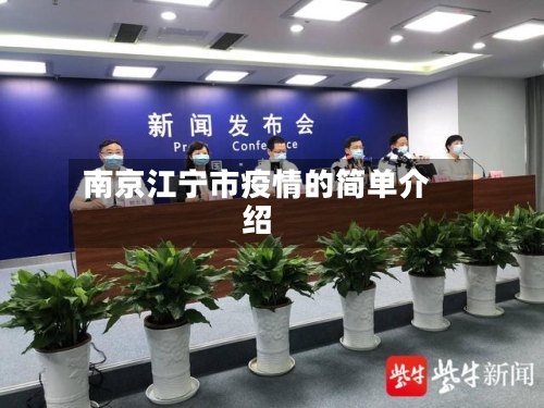 南京江宁市疫情的简单介绍-第3张图片