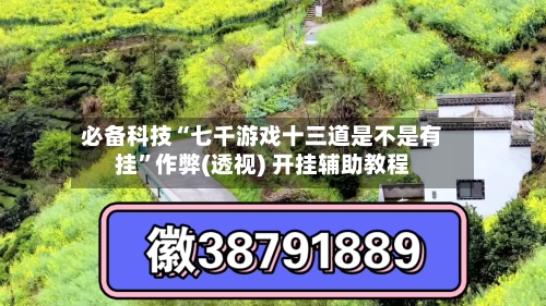 必备科技“七千游戏十三道是不是有挂	”作弊(透视) 开挂辅助教程-第2张图片