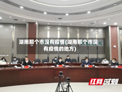 湖南那个市没有疫情(湖南那个市没有疫情的地方)-第2张图片