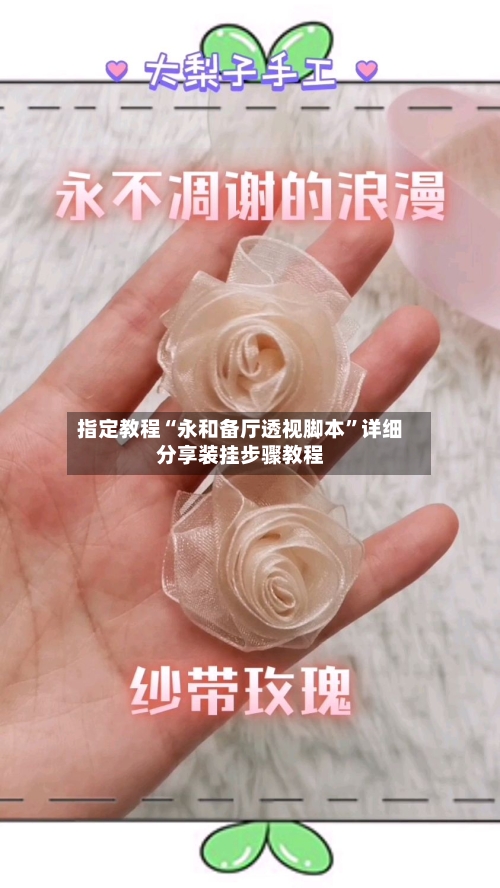 指定教程“永和备厅透视脚本	”详细分享装挂步骤教程-第2张图片