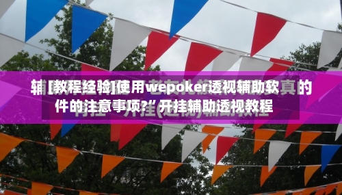 [教程经验]使用wepoker透视辅助软件的注意事项?	”开挂辅助透视教程-第1张图片