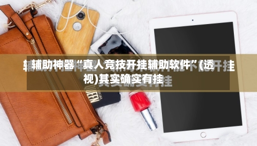 辅助神器“真人竞技开挂辅助软件”(透视)其实确实有挂-第2张图片