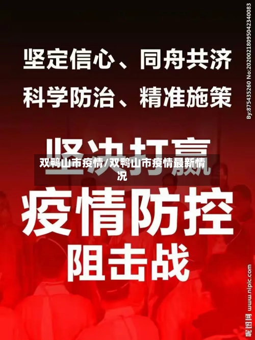 双鸭山市疫情/双鸭山市疫情最新情况-第2张图片