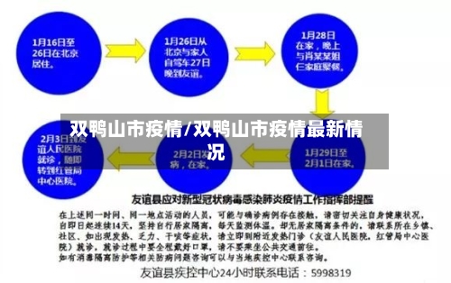 双鸭山市疫情/双鸭山市疫情最新情况-第3张图片