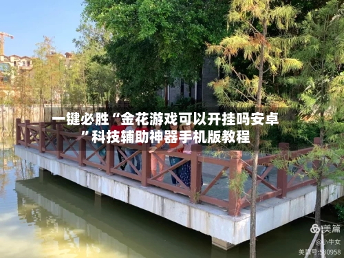 一键必胜“金花游戏可以开挂吗安卓”科技辅助神器手机版教程-第3张图片