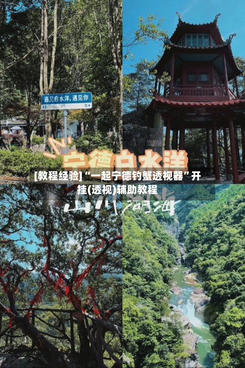 [教程经验]“一起宁德钓蟹透视器	”开挂(透视)辅助教程-第1张图片