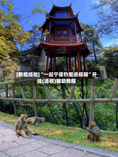 [教程经验]“一起宁德钓蟹透视器”开挂(透视)辅助教程-第2张图片