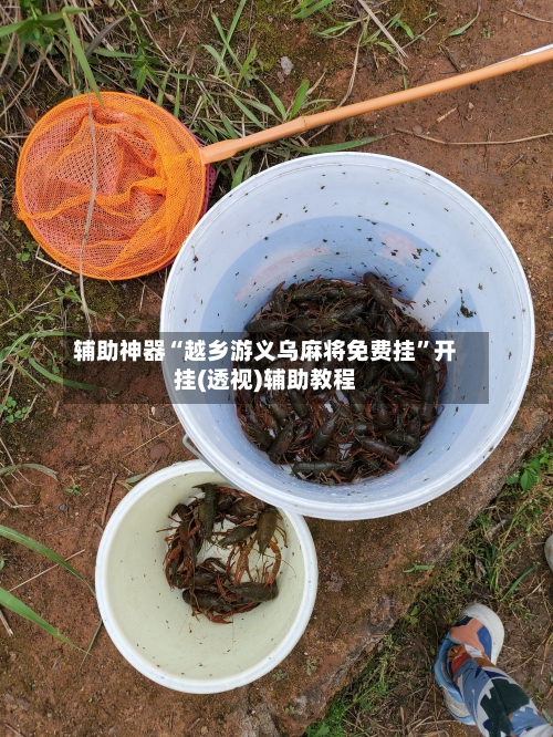 辅助神器“越乡游义乌麻将免费挂”开挂(透视)辅助教程-第1张图片