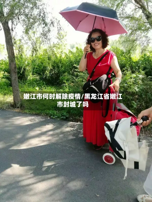 嫩江市何时解除疫情/黑龙江省嫩江市封城了吗-第3张图片