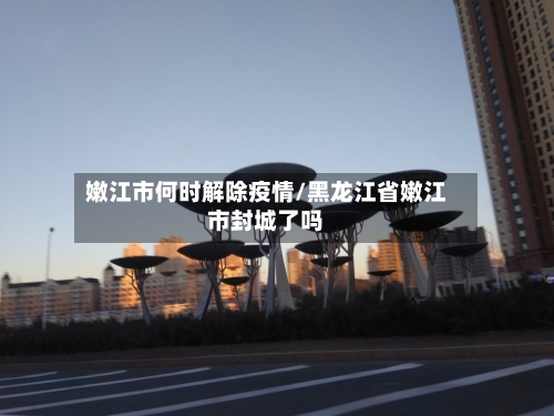 嫩江市何时解除疫情/黑龙江省嫩江市封城了吗-第2张图片