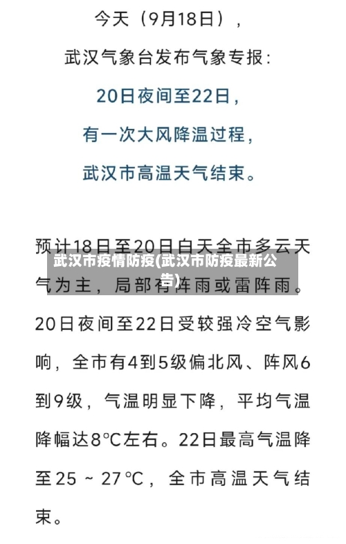 武汉市疫情防疫(武汉市防疫最新公告)-第2张图片