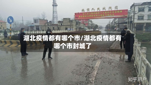 湖北疫情都有哪个市/湖北疫情都有哪个市封城了-第2张图片