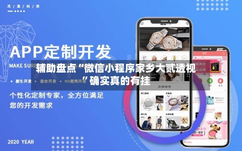 辅助盘点“微信小程序家乡大贰透视”确实真的有挂-第2张图片
