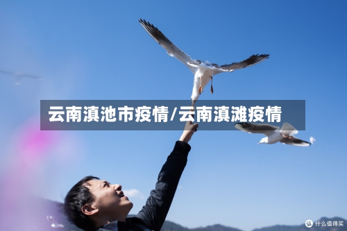 云南滇池市疫情/云南滇滩疫情-第1张图片
