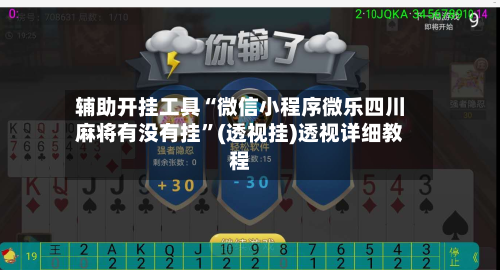 辅助开挂工具“微信小程序微乐四川麻将有没有挂”(透视挂)透视详细教程-第3张图片