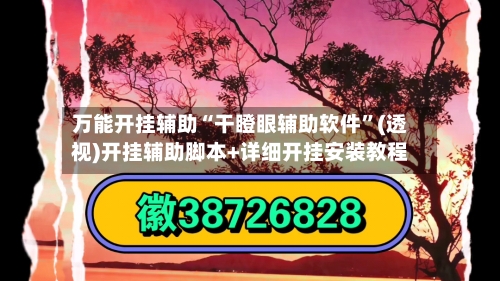 万能开挂辅助“干瞪眼辅助软件”(透视)开挂辅助脚本+详细开挂安装教程-第1张图片
