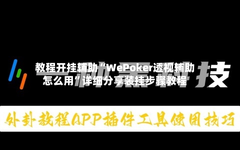 教程开挂辅助“WePoker透视辅助怎么用”详细分享装挂步骤教程-第3张图片