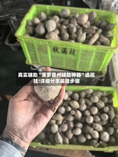 真实辅助“菠萝德州辅助神器”透视挂!详细分享装挂步骤-第3张图片