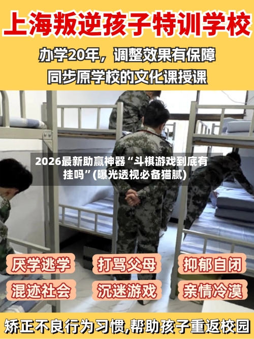 2026最新助赢神器“斗棋游戏到底有挂吗	”(曝光透视必备猫腻)-第1张图片