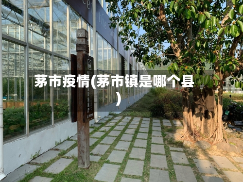 茅市疫情(茅市镇是哪个县)-第1张图片