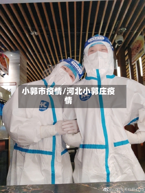 小郭市疫情/河北小郭庄疫情-第3张图片