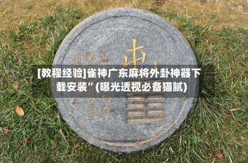 [教程经验]雀神广东麻将外卦神器下载安装”(曝光透视必备猫腻)-第1张图片