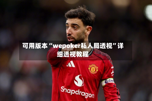 可用版本“wepoker私人局透视	”详细透视教程-第2张图片