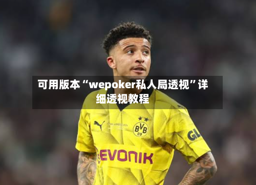 可用版本“wepoker私人局透视”详细透视教程-第1张图片