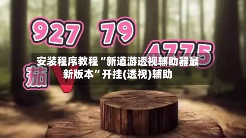 安装程序教程“新道游透视辅助器最新版本”开挂(透视)辅助-第3张图片