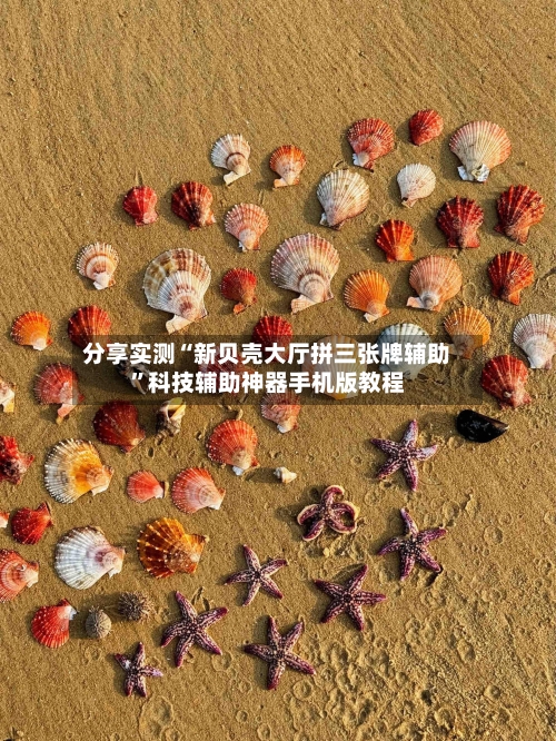 分享实测“新贝壳大厅拼三张牌辅助”科技辅助神器手机版教程-第2张图片