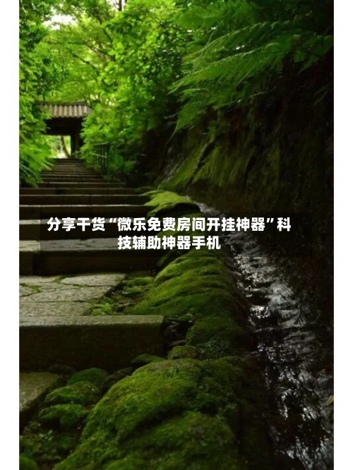 分享干货“微乐免费房间开挂神器”科技辅助神器手机-第3张图片