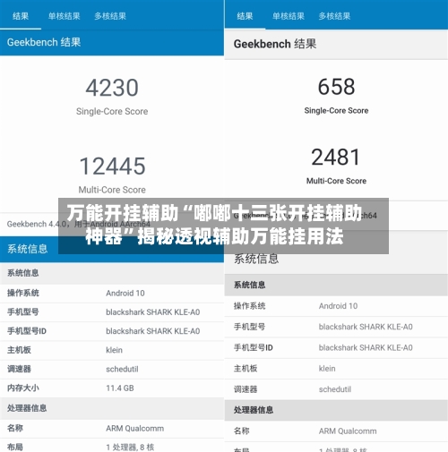 万能开挂辅助“嘟嘟十三张开挂辅助神器”揭秘透视辅助万能挂用法-第2张图片